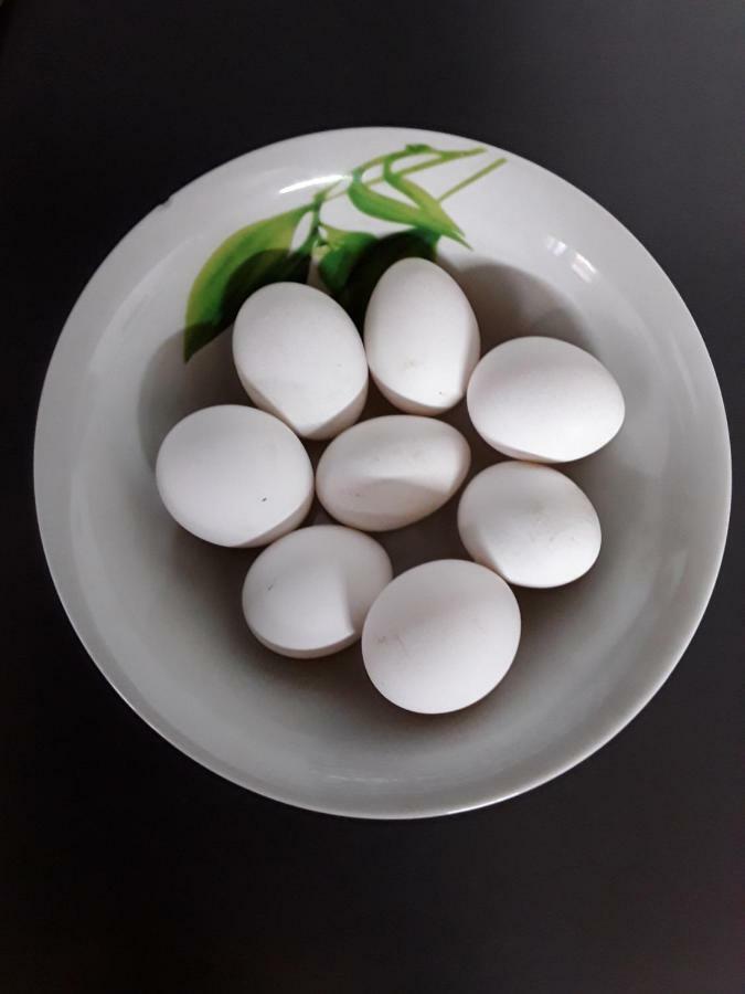 Lu Lisandru Abbiadori 外观 照片